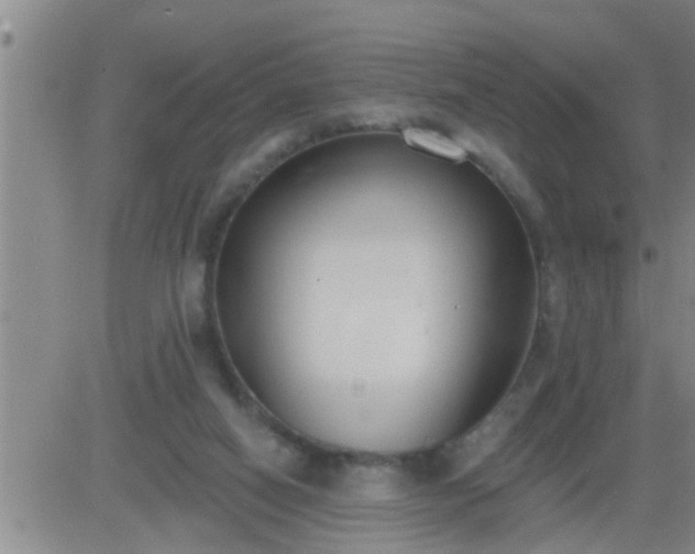 X0000083530066200702161923