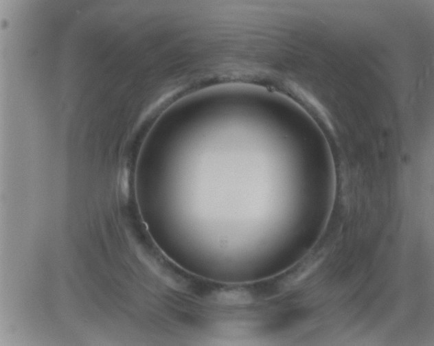 X0000083530067200702161923