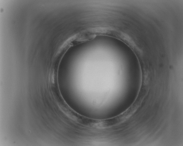 X0000083530068200702161923