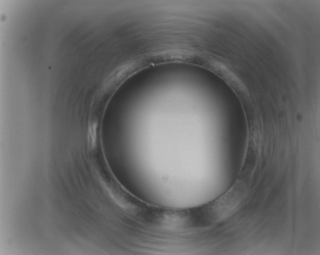 X0000083530070200702161923