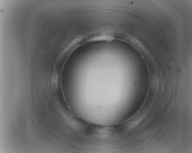 X0000083530072200702161923