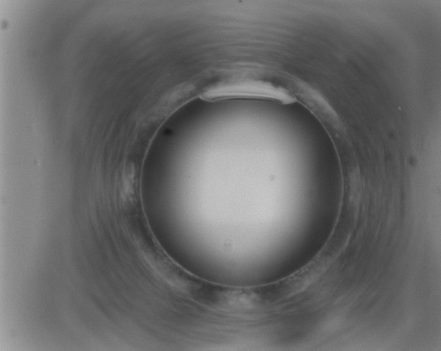 X0000083530073200702161923