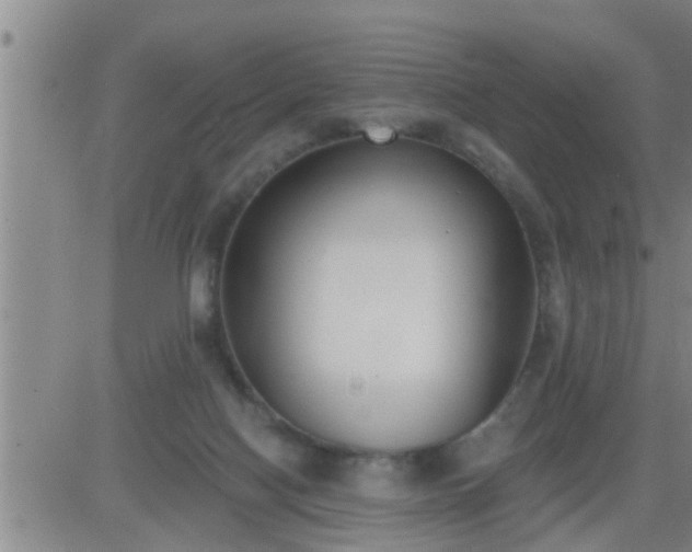 X0000083530074200702161923