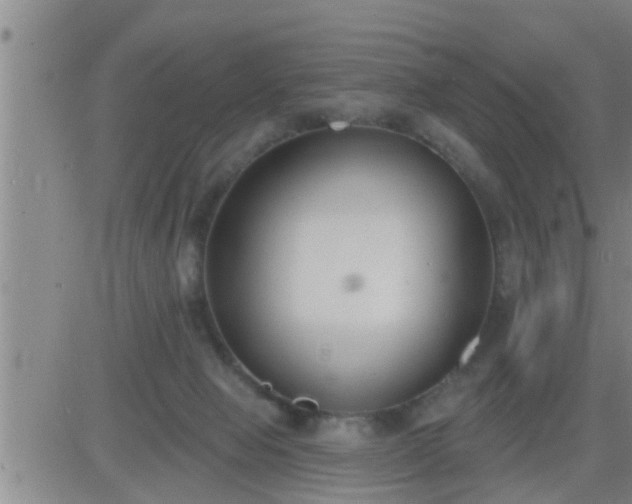 X0000083530077200702161923