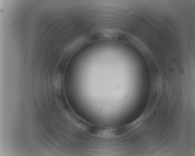 X0000083530078200702161923