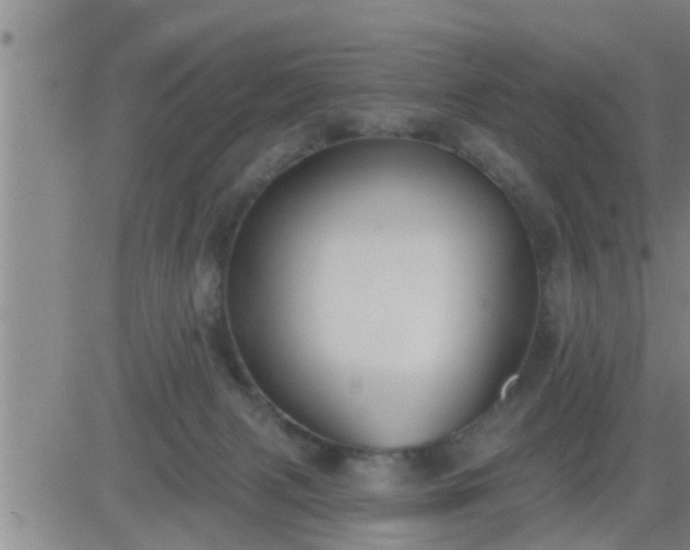 X0000083530079200702161923