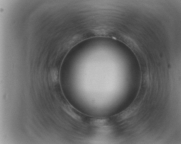 X0000083530081200702161923