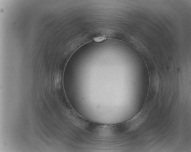 X0000083530082200702161923