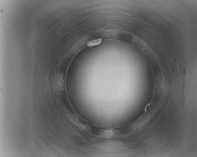 X0000083530083200702161923