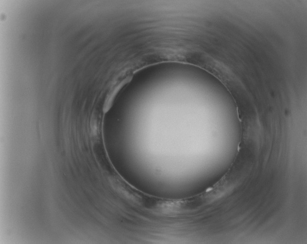 X0000083530084200702161923