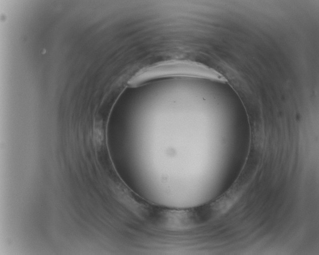 X0000083530085200702161923