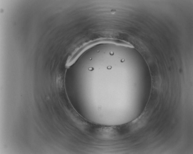 X0000083530086200702161923