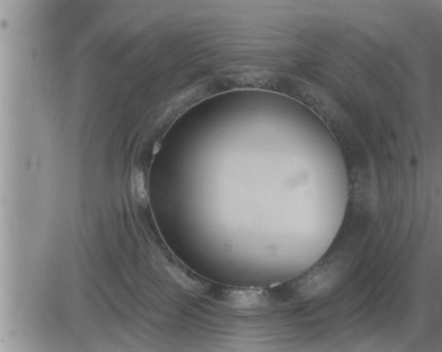 X0000083530089200702161923