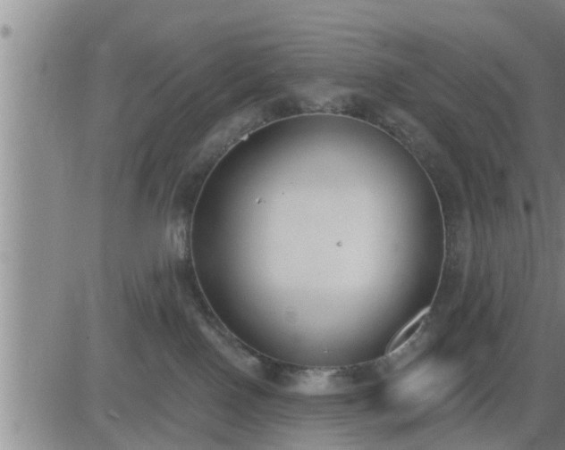 X0000083530090200702161923