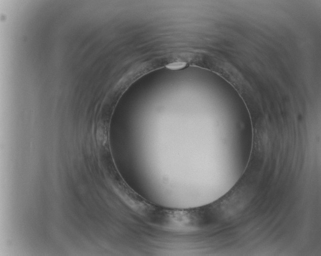 X0000083530091200702161923