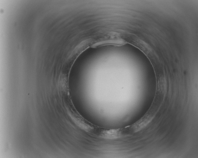 X0000083530092200702161923