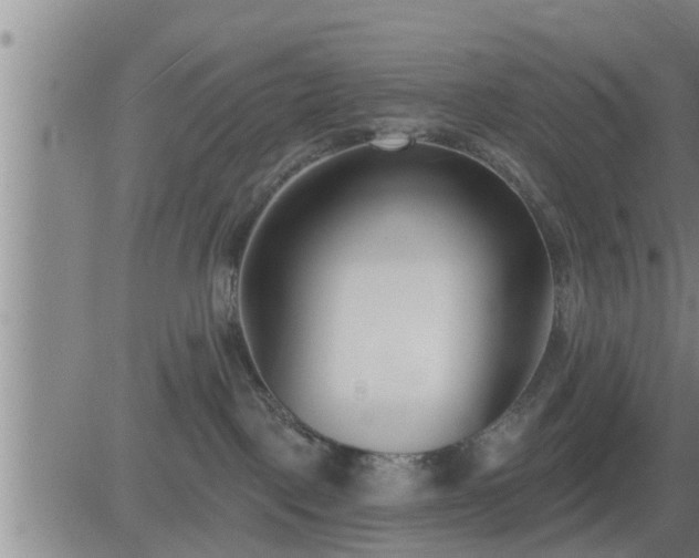 X0000083530093200702161923