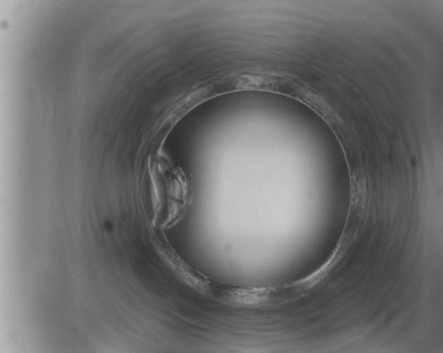 X0000083530094200702161923