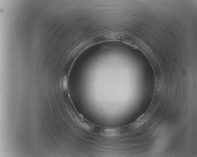 X0000083530095200702161923