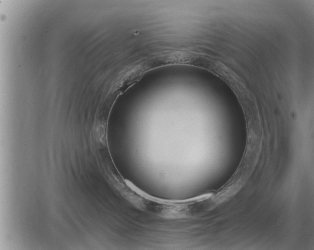 X0000083530096200702161923