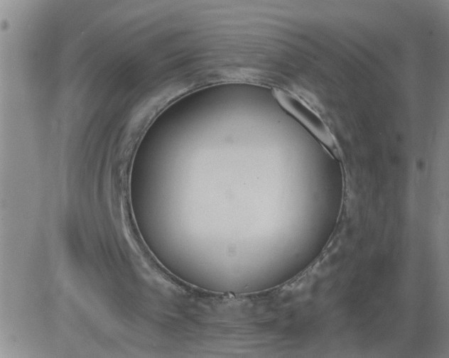 X0000083530097200702161922