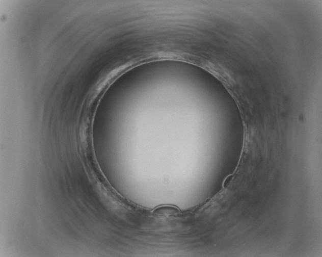 X0000083530098200702161922