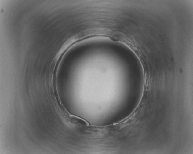 X0000083530099200702161922