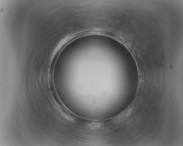 X0000083530102200702161922