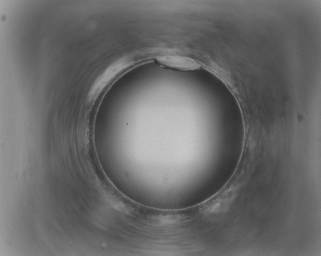 X0000083530103200702161922