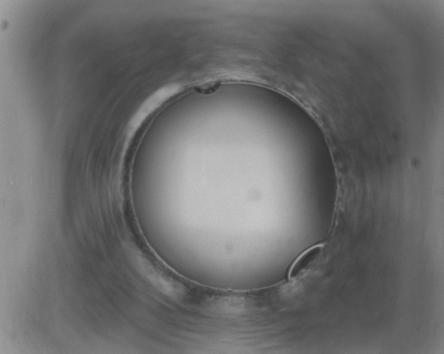 X0000083530104200702161922