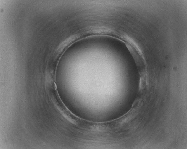 X0000083530105200702161922