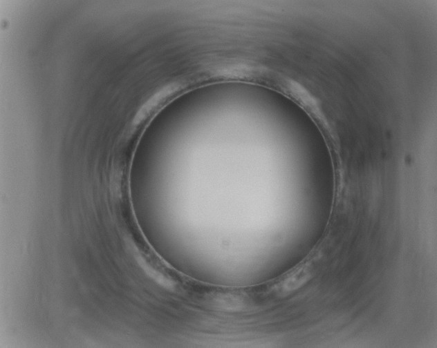 X0000083530106200702161922