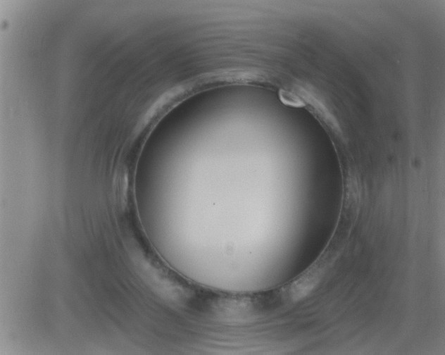 X0000083530110200702161922