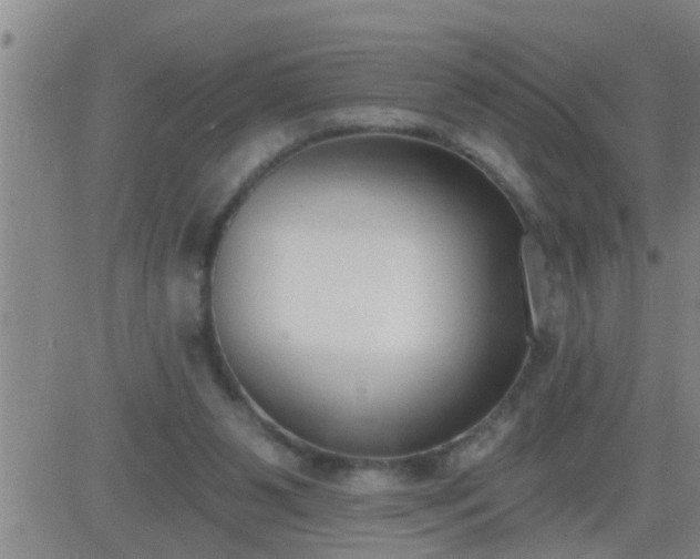 X0000083530111200702161922