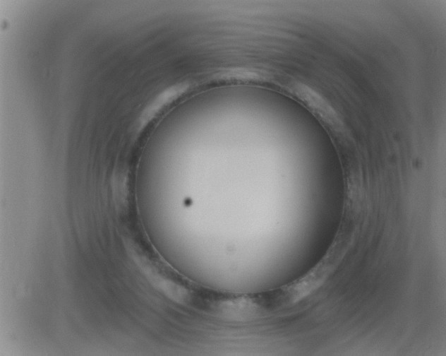 X0000083530112200702161922