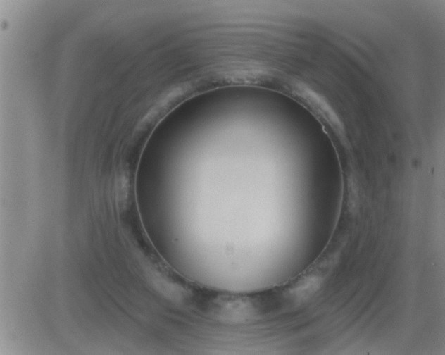 X0000083530113200702161922