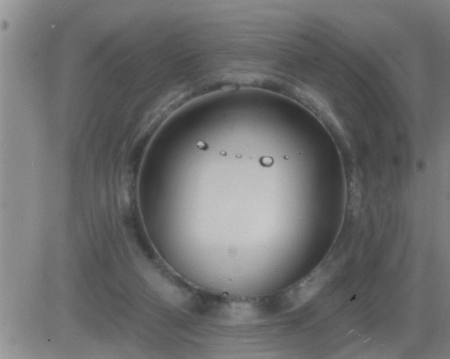 X0000083530114200702161922