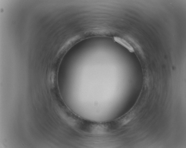 X0000083530115200702161922