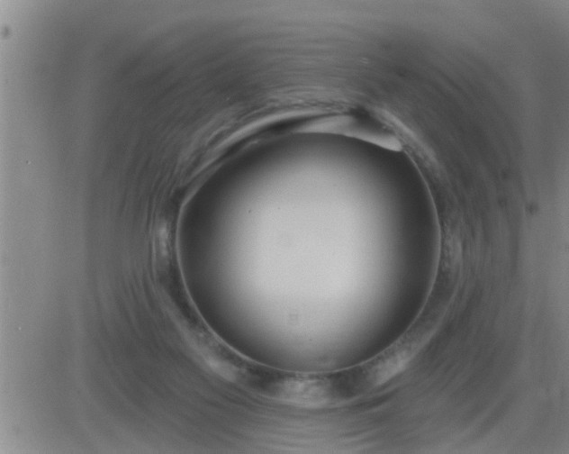 X0000083530117200702161922