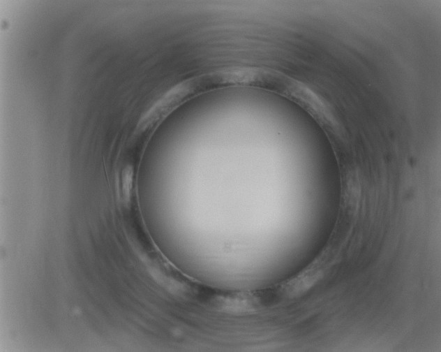 X0000083530118200702161922