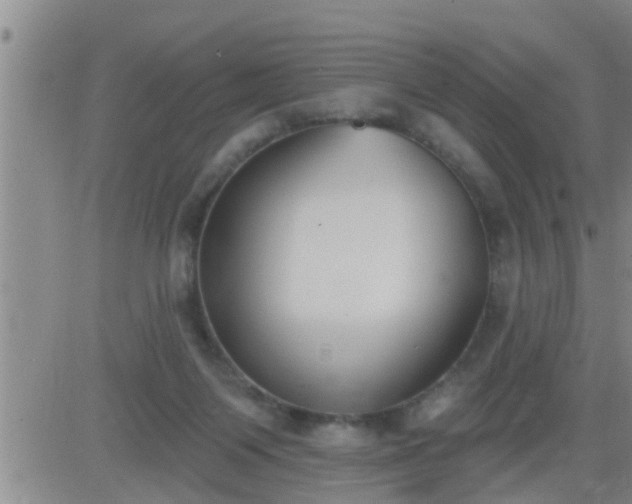 X0000083530119200702161922