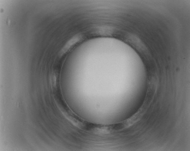 X0000083530120200702161922