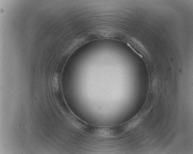 X0000083530121200702161922