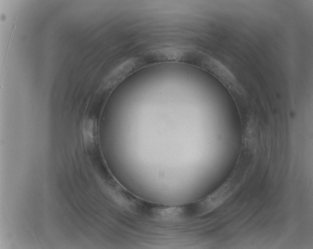 X0000083530122200702161922