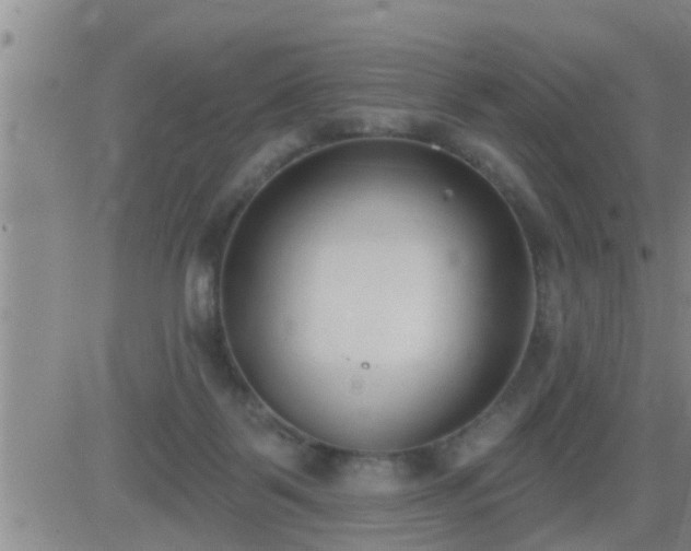 X0000083530123200702161922