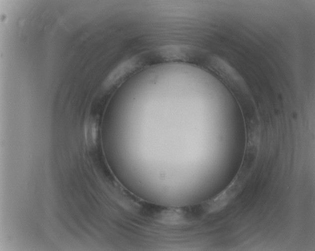 X0000083530124200702161922