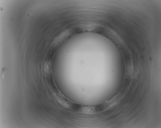 X0000083530126200702161922