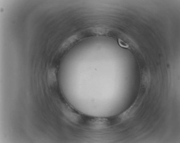 X0000083530128200702161922