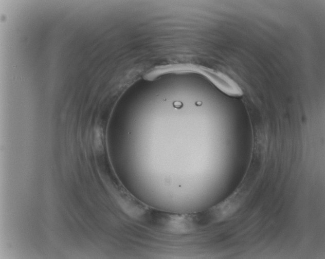 X0000083530130200702161922