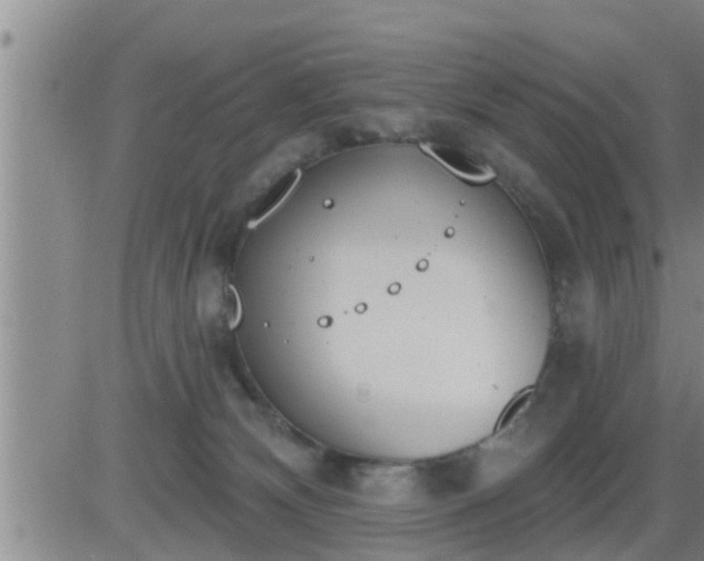 X0000083530132200702161922